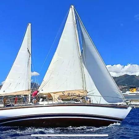 Flowers Island House 2 Daire