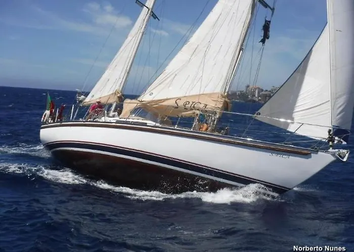 아파트 Flowers Island House 2 *