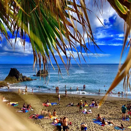 Flowers Island House 2