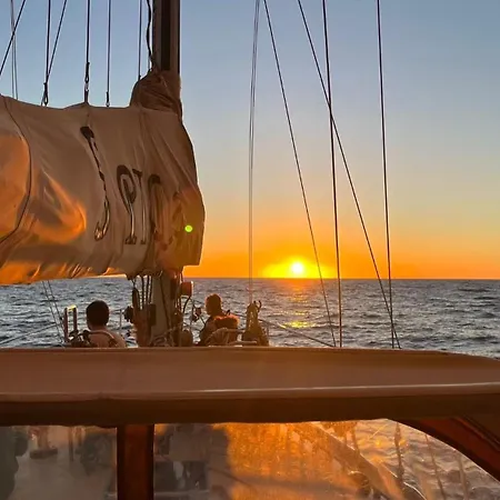 Apartament Flowers Island House 2 Funchal (Madeira)